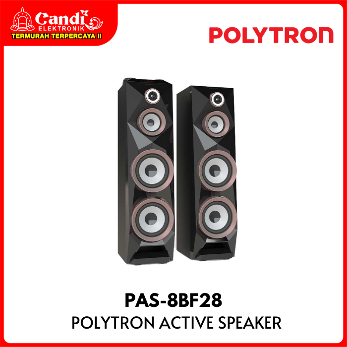 Polytron Active Speaker